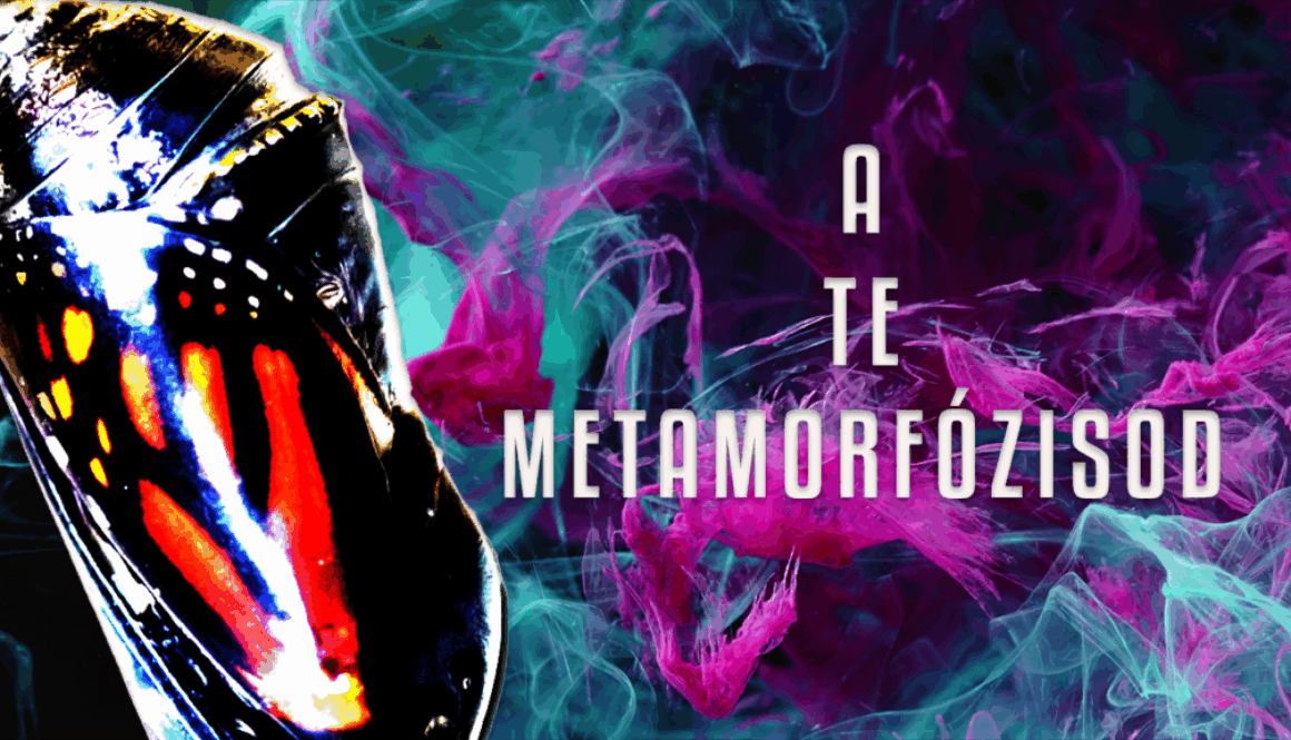 meta_index