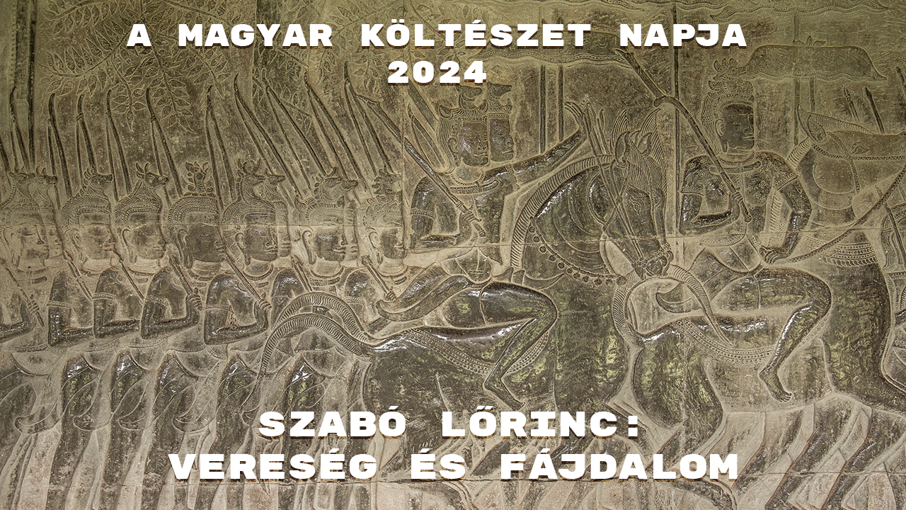 mkn2024